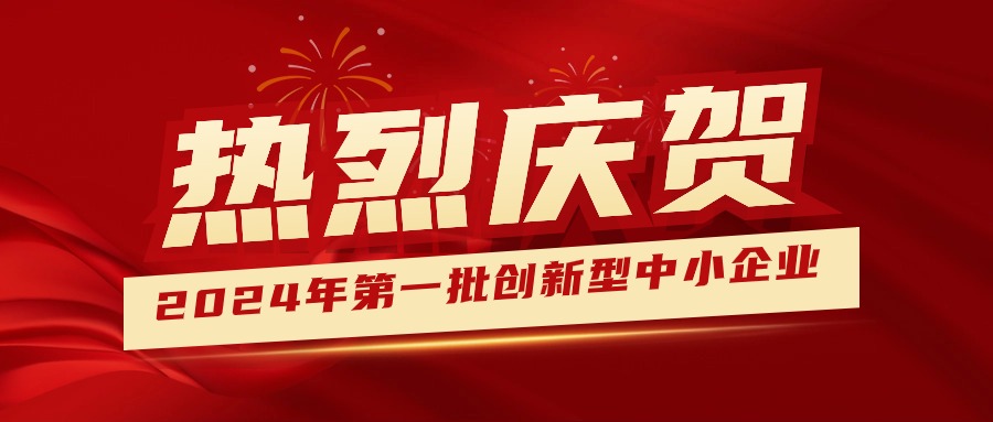 喜報！集團(tuán)獲認(rèn)定為2024年第一批創(chuàng)新型中小企業(yè) 
