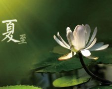 夏至節(jié)氣，廣西強壽藥業(yè)集團提醒您注意防暑降溫