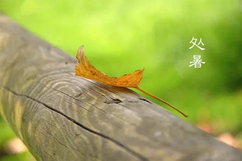 處暑，即為“出暑”